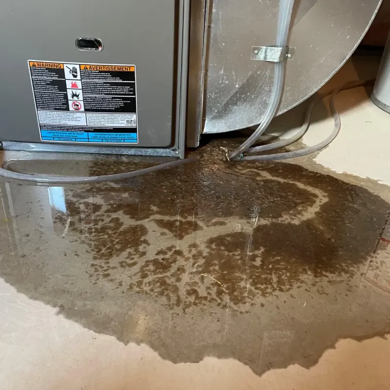 Appliance Leak Cleanup in Greenville, AL